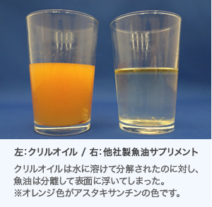 左：クリルオイル / 右：他社製魚油サプリメント　クリルオイルは水に溶けて分解されたのに対し、魚油は分離して表面に浮いてしまった。※オレンジ色がアスタキサンチンの色です。