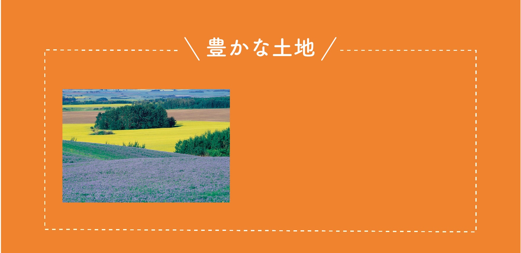 豊かな土地