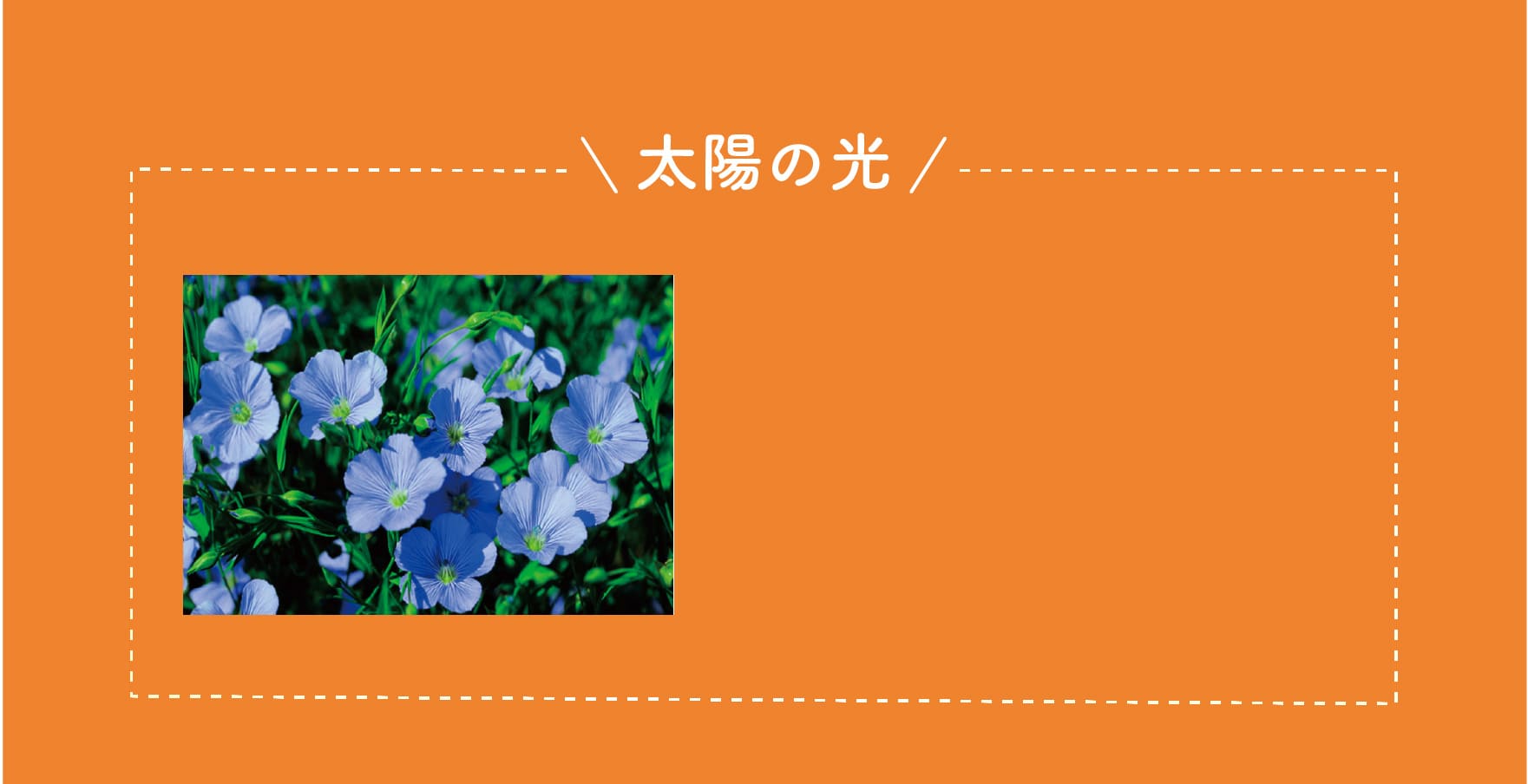 太陽の光