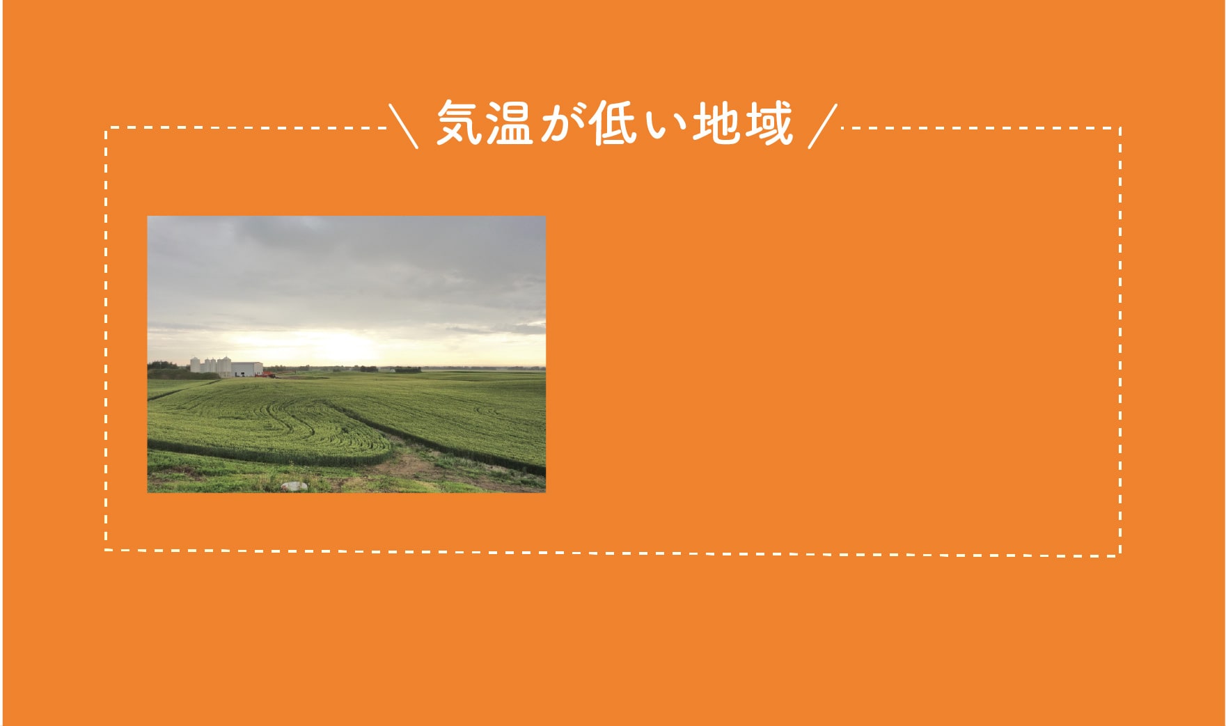 オメガ3含有量が高い地域