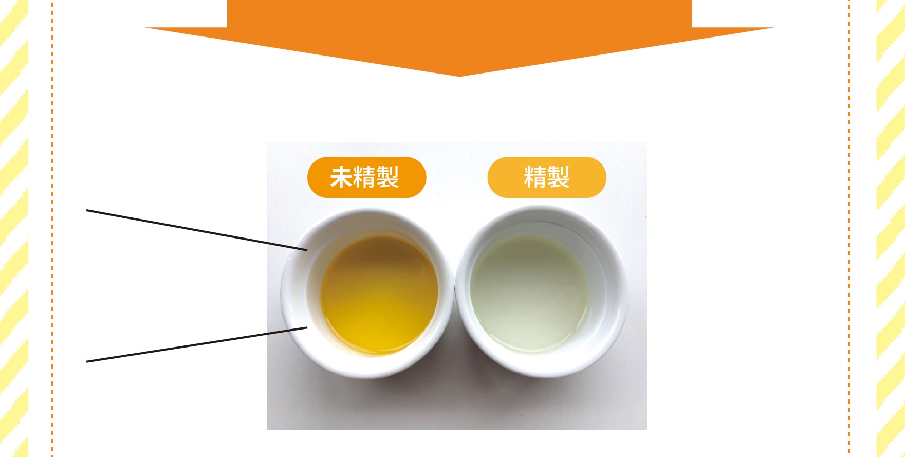 亜麻仁油 比較